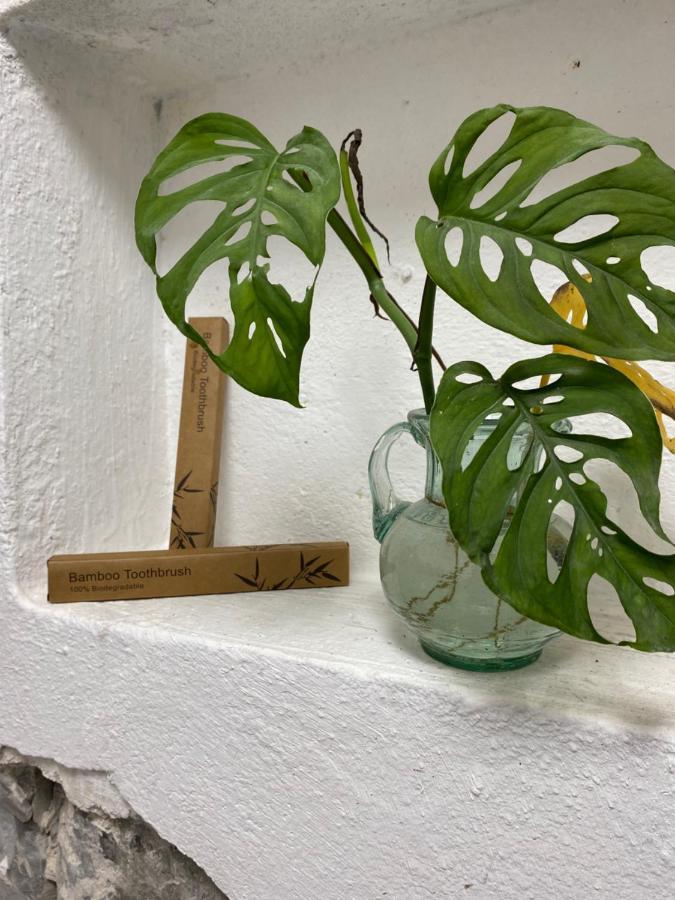 El Acicate Hospedaje Cuetzalán del Progreso Dış mekan fotoğraf